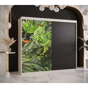 Šatní skříň Abi Paproc Barva korpusu: Bílá, Rozměry: 200 cm, Dveře: Paproc - kapradina + černá