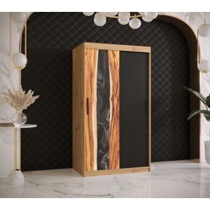 Šatní skříň Abi Zywica Barva korpusu: Dub - Artisan, Rozměry: 100 cm, Dveře: Zywica + černá