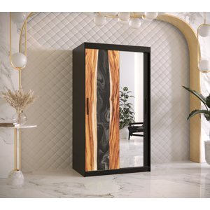 Šatní skříň Abi Zywica 2 Barva korpusu: Černá, Rozměry: 100 cm, Dveře: Zywica + zrcadlo
