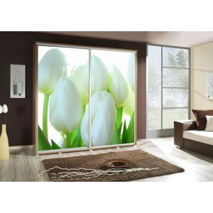 Šatní skříň Penelopa 2 Tulipány Barva korpusu: Bílá, Rozměry: 205 cm