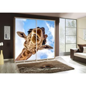 Šatní skříň Penelopa 2 Žirafa Barva korpusu: Bílá, Rozměry: 205 cm