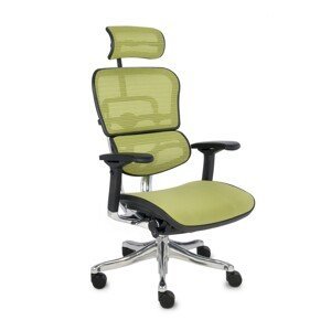 Grospol Ergohuman Plus Elite BT kancelářská židle zelená