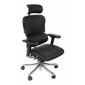 Grospol Ergohuman Plus Elite LE01 kancelářské židle černá