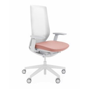 Kancelářská židle Accis Pro 150SFL typ B světle šedá