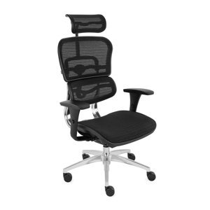 Kancelářská židle Ergohuman Basic BS KMD31
