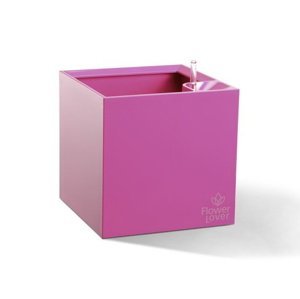 Plastkon Samozavlažovací květináč Cubico 21x21x21, růžový