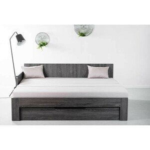 Ahorn DUOVITA 80 x 200 BK latě - rozkládací postel a sedačka 80 x 200 cm s područkami - dub černý, lamino