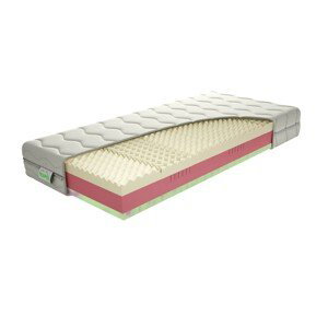TEXPOL MEMORY FRESH - komfortní matrace z BIO pěny a s úpravou proti roztočům 110 x 200 cm, snímatelný potah