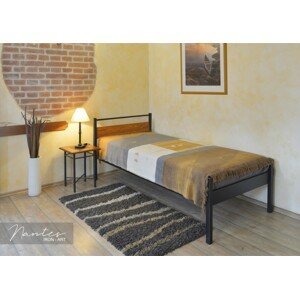 IRON-ART NANTES III. dub - jednoduchá kovová postel, kov + dřevo