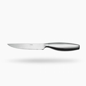 Sola - Steakový nůž s dutou rukojetí 23,5cm - matný – Touch me (118551)
