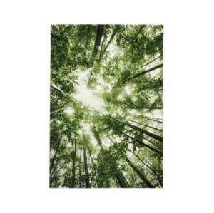 Koberec Belis 80x150 cm, zelený les
