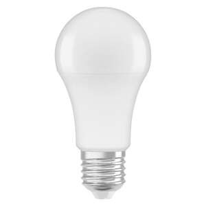 Matná LED žárovka E27 13 W CLASSIC studená bílá