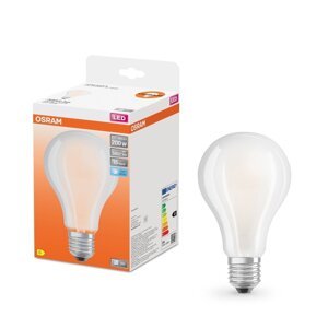 Matná LED žárovka E27 24 W CLASSIC A, studená bílá