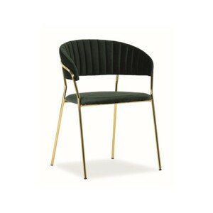 Židle LIRA zlatá/zelená