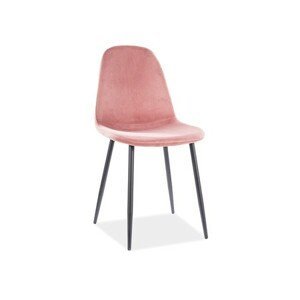 Židle FOX -černá/růžová