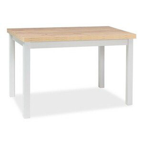 Jídelní stůl ADAM 100x60 - dub artisan / bílá