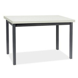 Jídelní stůl ADAM 120x68 - bílá/černá