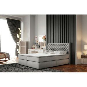 Čalouněná postel Chester 160x200 cm Světle šedá