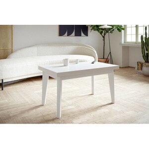Konferenční stolek Skandinavská 100x60 cm Bílá Bílá