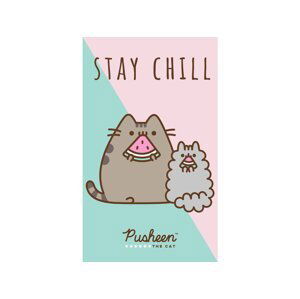 TipTrade Bavlněný froté ručníček 30x50 cm - Kočička Pusheen Stay Chill