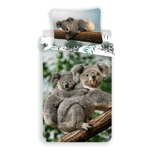 Jerry Fabrics Bavlněné povlečení 140x200 + 70x90 cm - Koala