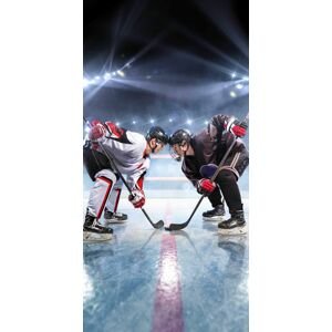 Jerry Fabrics Bavlněná froté osuška 70x140 cm - Lední hokej