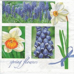 Ubrousky na dekupáž Muscari & Narcissus - 1 ks (ubrousky na dekupáž)