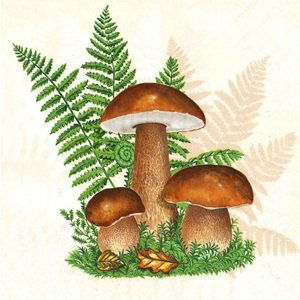 Ubrousky na dekupáž Boletus with Leaves of Fern - 1 ks (ubrousky na)