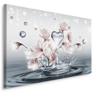 Plátno Květy Magnólie s 3D Kapkami Vody Varianta: 120x80