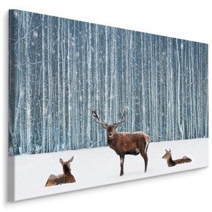 MyBestHome BOX Plátno Jelen V Zimním Lese I. Varianta: 100x70