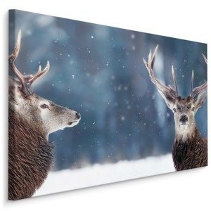 MyBestHome BOX Plátno Dva Jeleni V Zimním Lese Varianta: 100x70