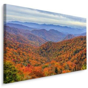 Plátno Podzimní Les V Horách Varianta: 100x70
