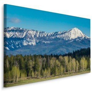 Plátno Národní Park Grand Teton V Usa Varianta: 120x80