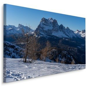Plátno Zimní 3D Horská Krajina Varianta: 120x80
