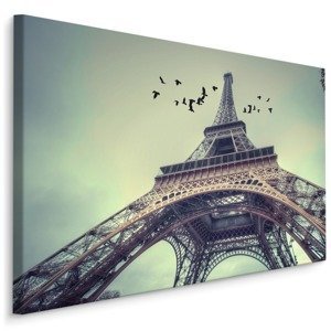 Plátno Pohled Na Eiffelovu Věž Varianta: 100x70