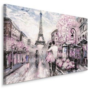 Plátno Ulice v Paříži Varianta: 100x70