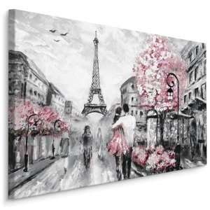 Plátno Zamilovaní V Ulicích Paříže Varianta: 30x20