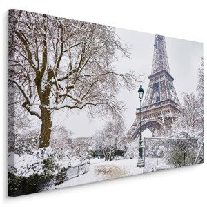 Plátno Pohled Na Eiffelovu Věž V Zimě Varianta: 100x70