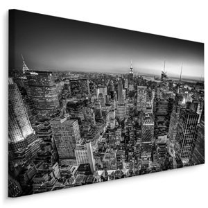 Plátno Pohled Na Manhattan V BW Varianta: 100x70