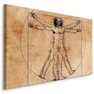 MyBestHome BOX Plátno Muž Leonarda Da Vinci Varianta: 120x80