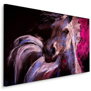 MyBestHome BOX Plátno Kůň V Pastelových Barvách Varianta: 70x50