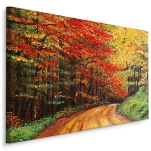 Plátno Cesta V Podzimním Lese Varianta: 100x70