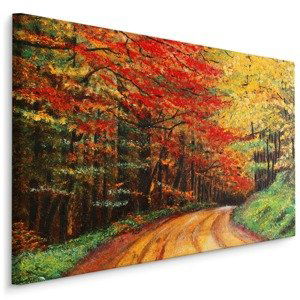 Plátno Cesta V Podzimním Lese Varianta: 70x50