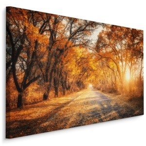 Plátno Cesta V Podzimním lese I. Varianta: 100x70