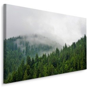 Plátno Mlha Nad Jehličnatým Lesem Varianta: 100x70