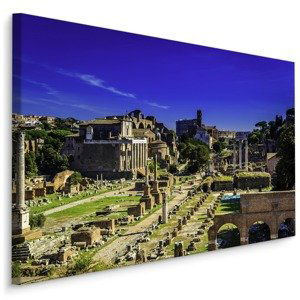 Plátno Pohled Na Forum Romanum Varianta: 100x70