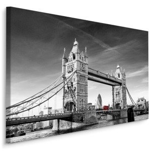 Plátno Pohled Na Tower Bridge V BW Varianta: 90x60