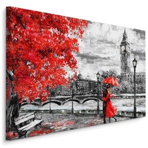 Plátno Milenci Obdivující Panorama Londýna Varianta: 100x70