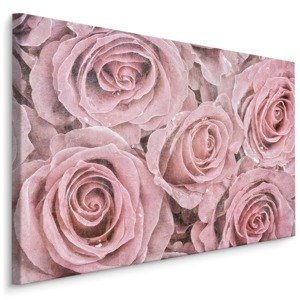 Plátno Krásné Vintage Růže Varianta: 120x80