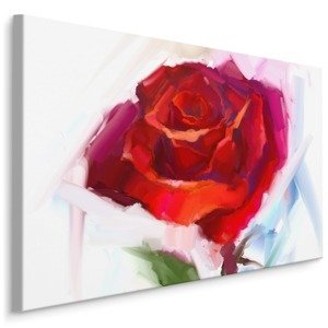 Plátno Růže Jako Malovaná I. Varianta: 100x70